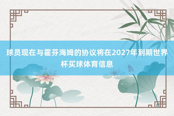 球员现在与霍芬海姆的协议将在2027年到期世界杯买球体育信息