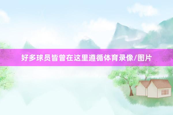 好多球员皆曾在这里遵循体育录像/图片