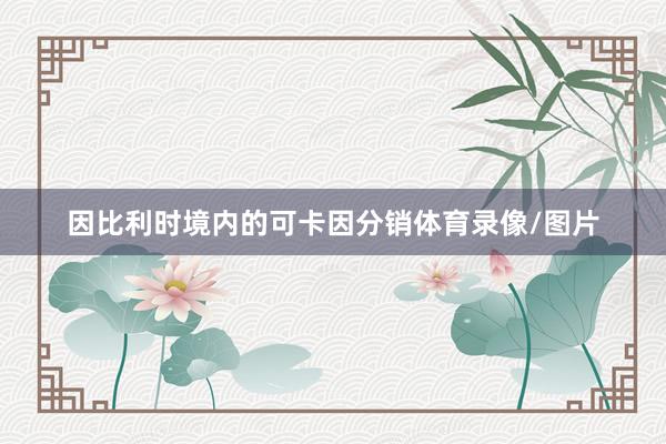 因比利时境内的可卡因分销体育录像/图片