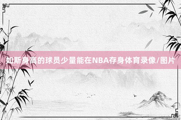 如斯身高的球员少量能在NBA存身体育录像/图片