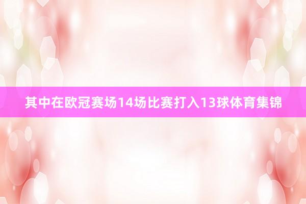 其中在欧冠赛场14场比赛打入13球体育集锦
