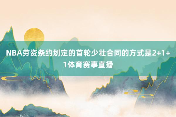 NBA劳资条约划定的首轮少壮合同的方式是2+1+1体育赛事直播