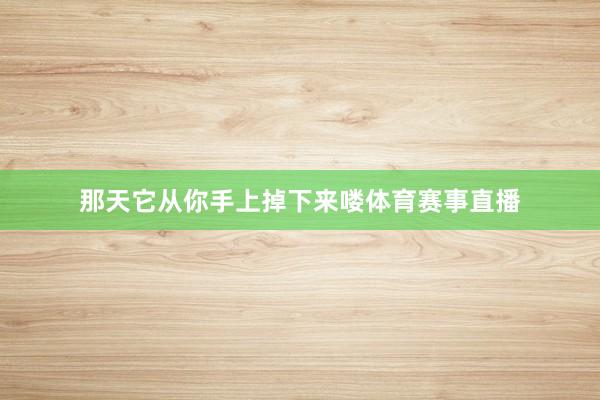 那天它从你手上掉下来喽体育赛事直播