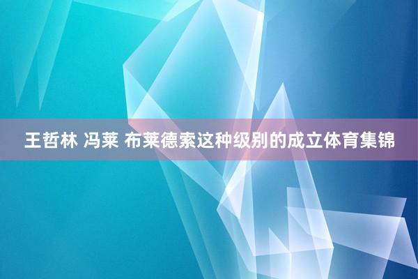 王哲林 冯莱 布莱德索这种级别的成立体育集锦