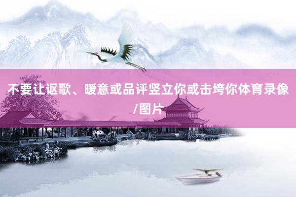 不要让讴歌、暖意或品评竖立你或击垮你体育录像/图片